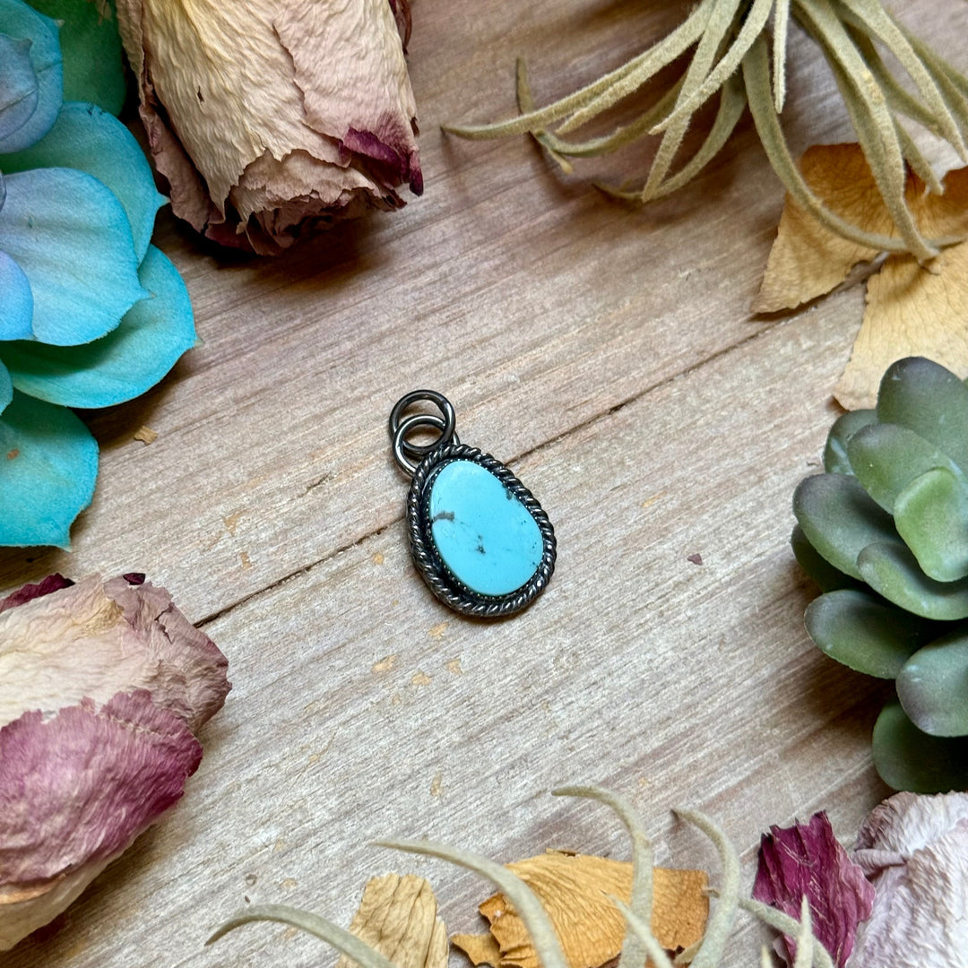 FREE Sterling Silver Necklace + MJ Sky Blue Turquoise Charm The Bijoux FAB Jewelry