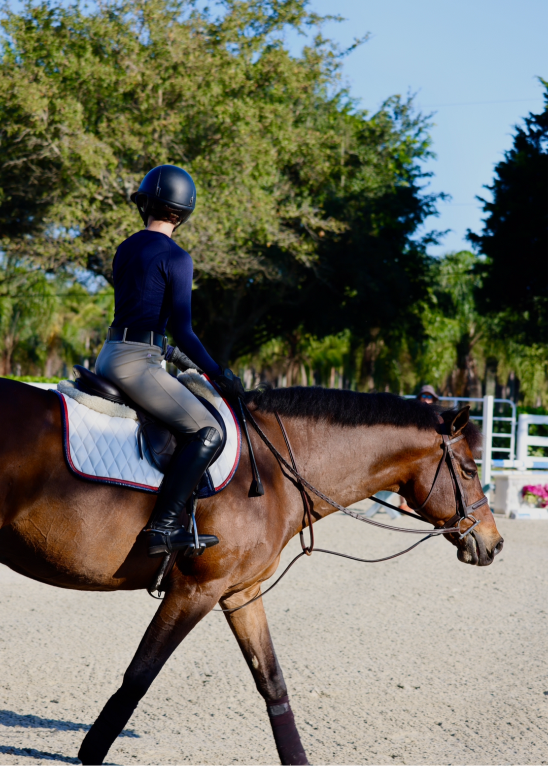 Saddle Pad | White San Eligius