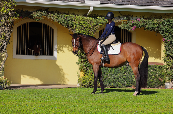 Saddle Pad | White San Eligius