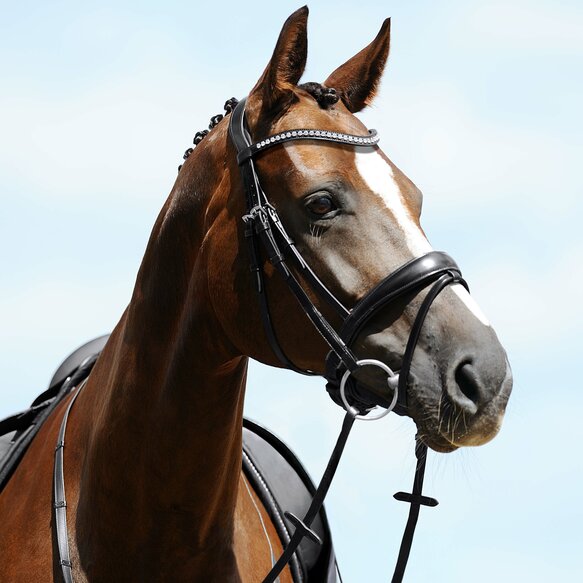 Passier Atlas Snaffle Bridle Breeches.com