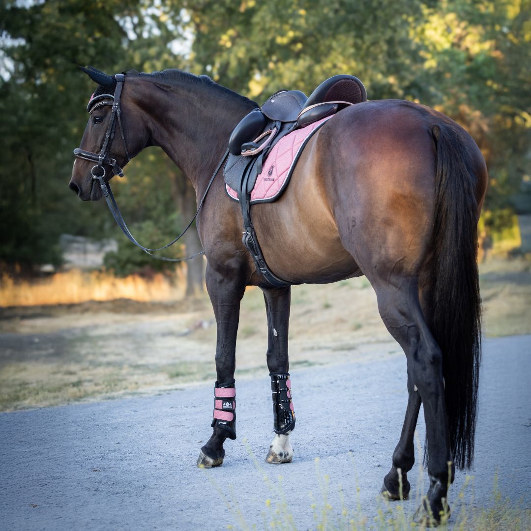 Equestroom Rose Quartz Saddle Pad Set Equestroom