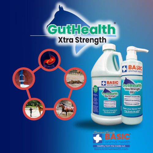 GutHealth Xtra Strength Gel for Horses - Bottles Basic Animal Health