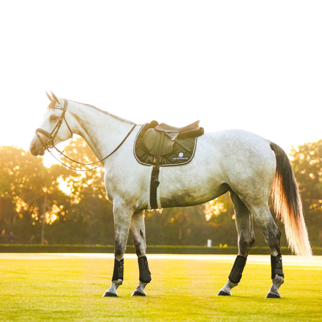 B&W - Black Saddle Pad Set