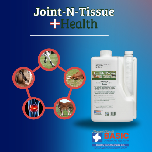 Joint-N-Tissue Health for Horses