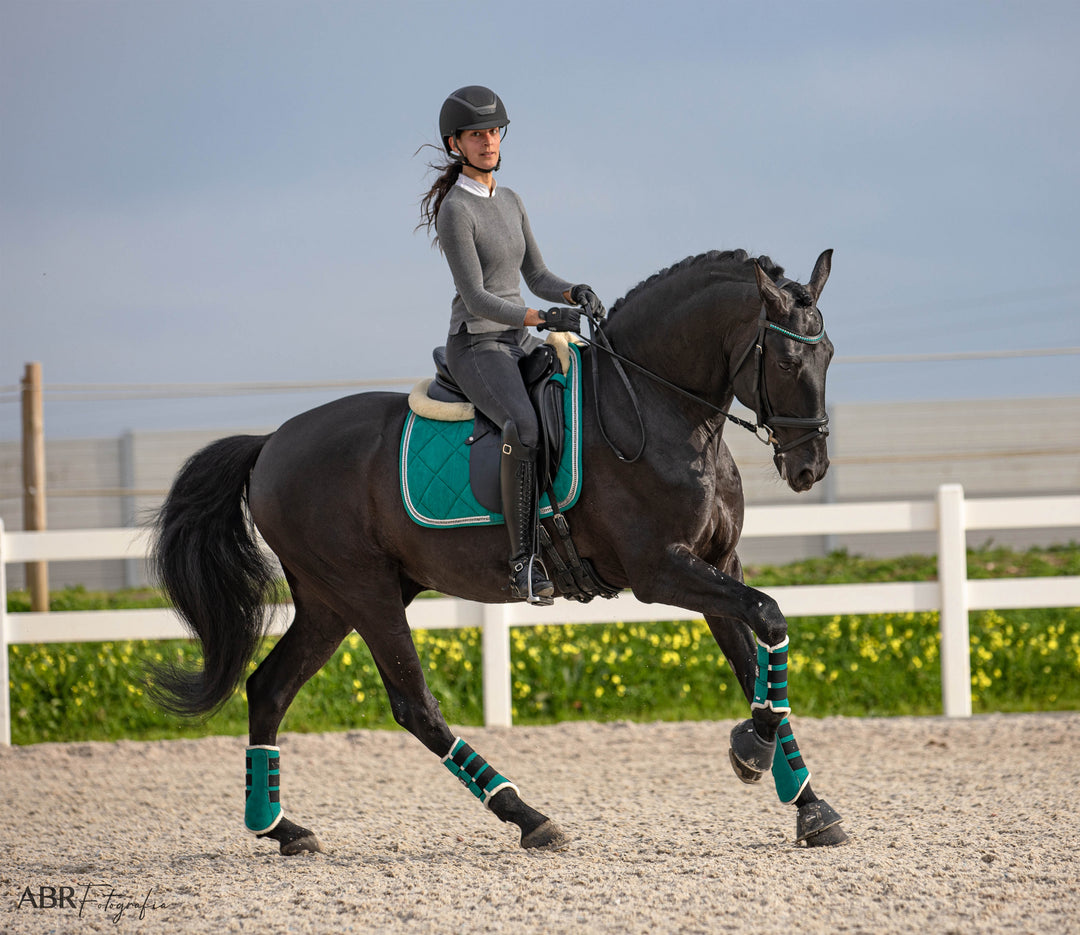 Teal Saddle Pad Set