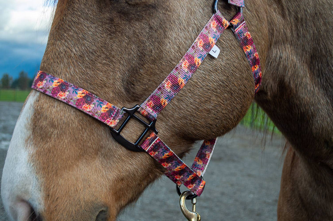 Howdy Nylon Horse Halter