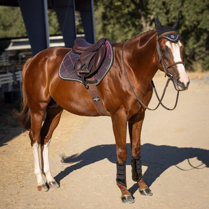 Equestroom Ultraviolet Saddle Pad Set