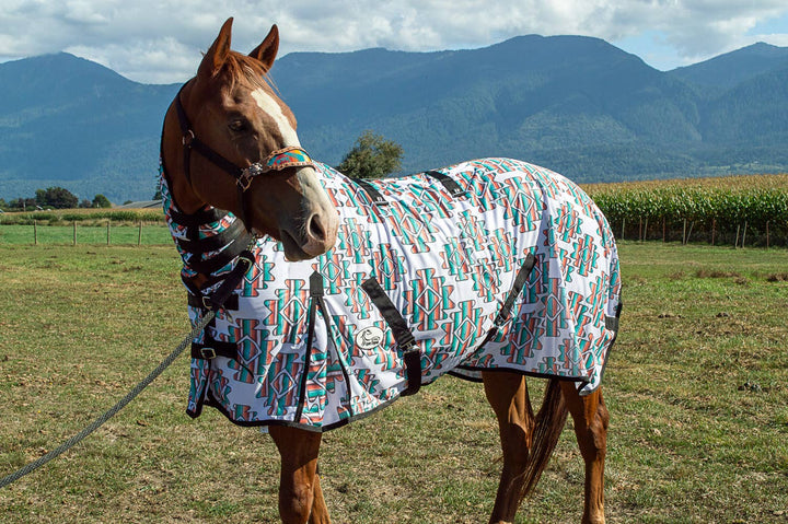 Serape Aztec Fly Sheet
