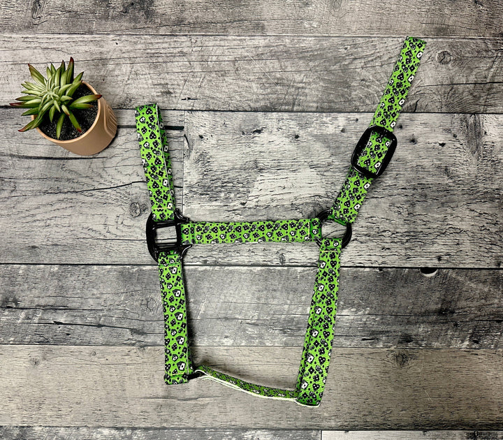 Howdy Nylon Horse Halter