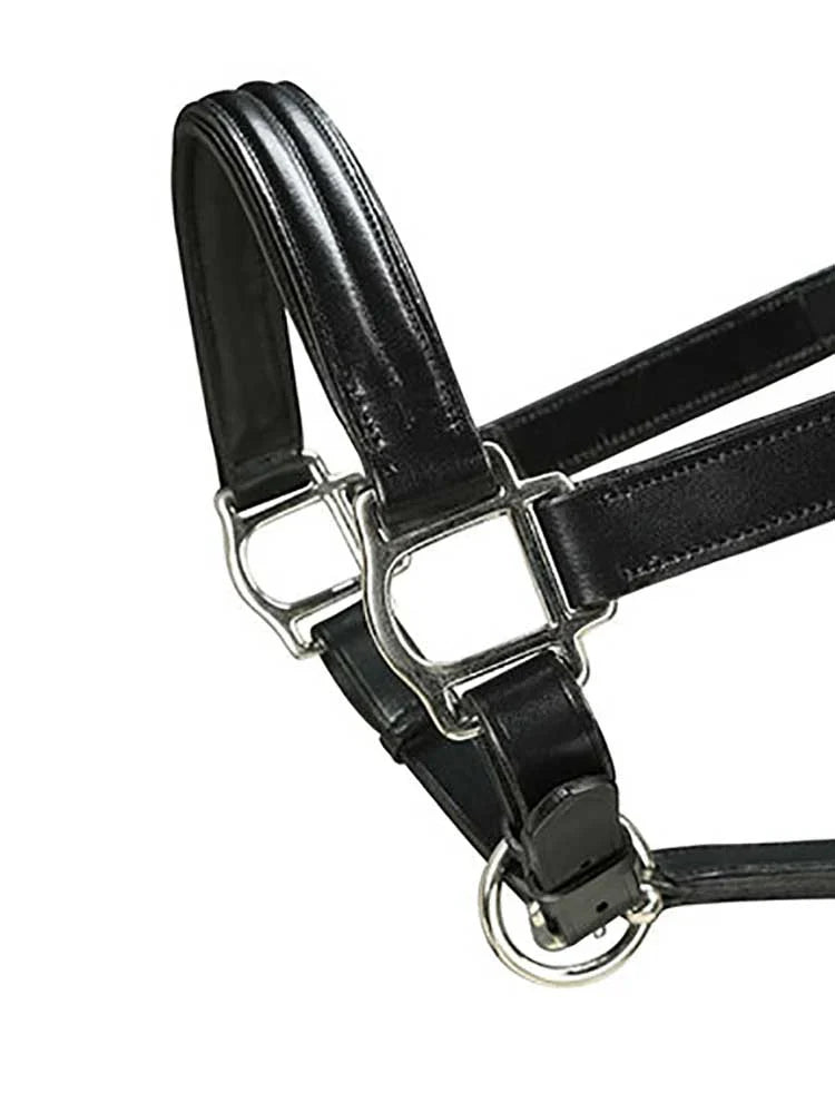 Marco Simone Triple-Stitched Italian Leather Halter Grewal Equestrian