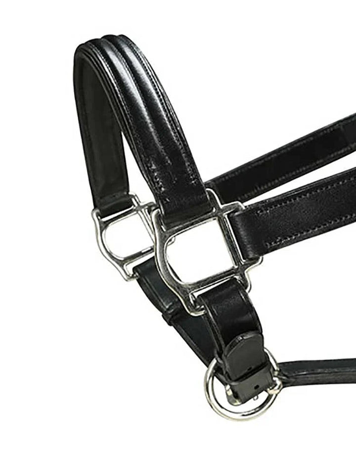Marco Simone Triple-Stitched Italian Leather Halter Grewal Equestrian