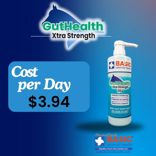GutHealth Xtra Strength Gel for Horses - Bottles Basic Animal Health