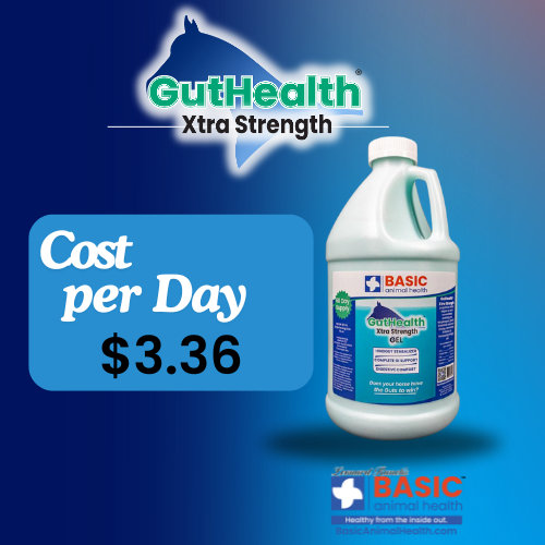 GutHealth Xtra Strength Gel for Horses - Bottles Basic Animal Health