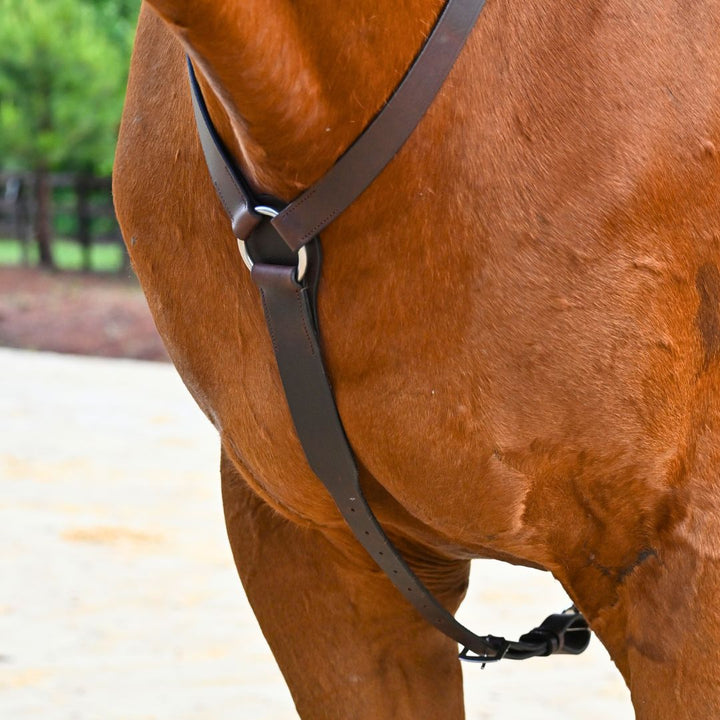 3-Point Breastplate with Double Neck Strap