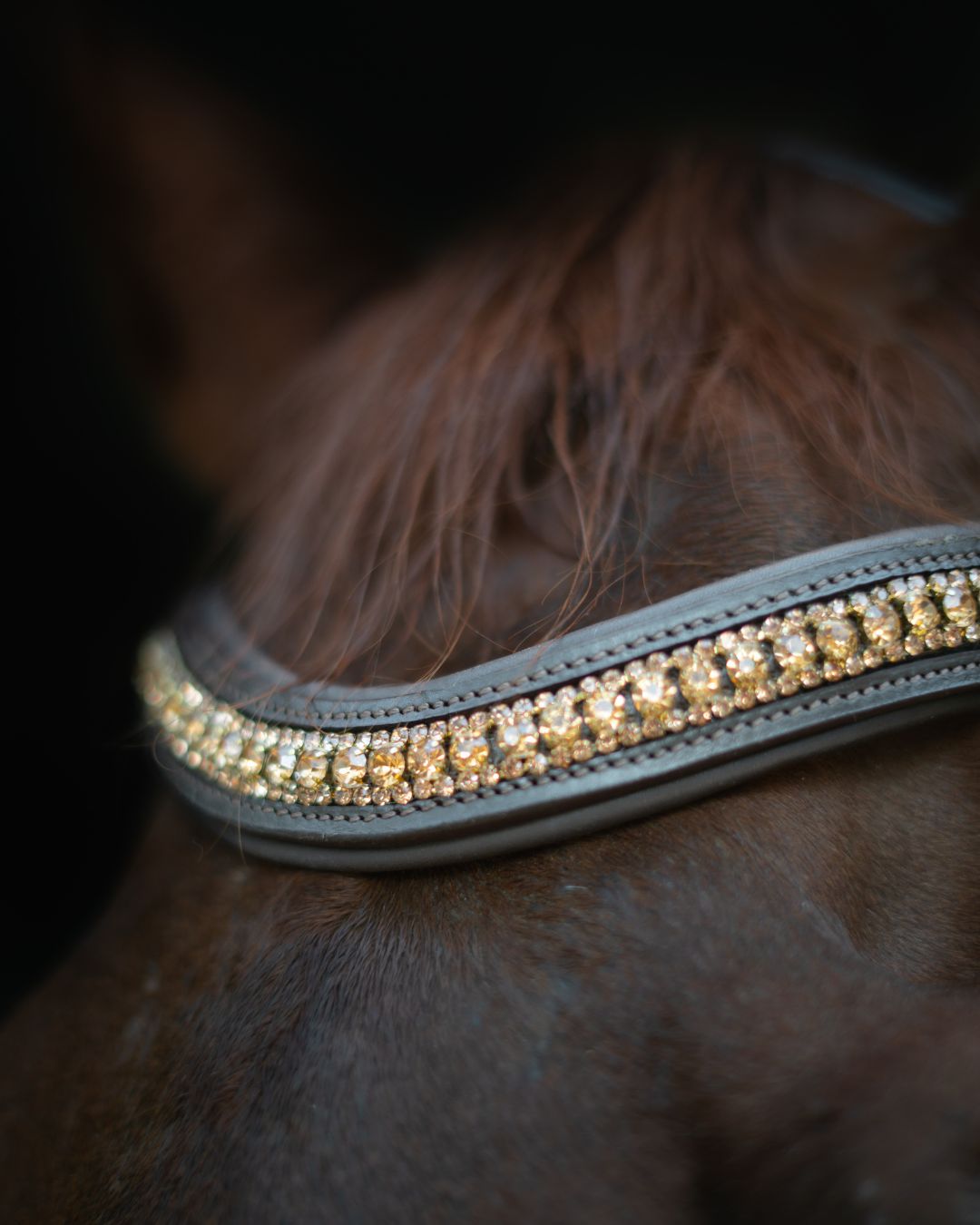 Gold Accented Figure 8 Bridle with Gold Browband CorrectConnect