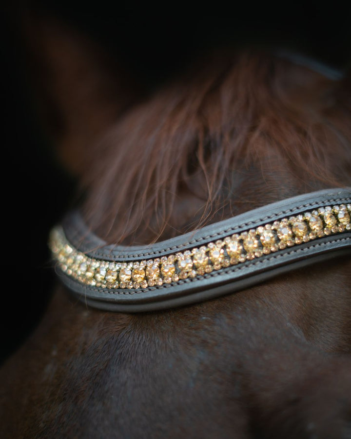 Gold Accented Figure 8 Bridle with Gold Browband CorrectConnect