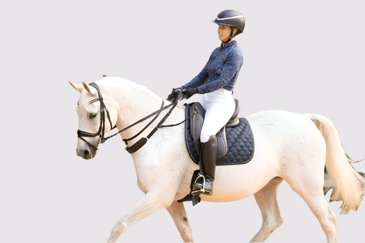 3-in-1 Training Breastplate