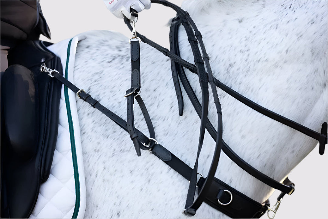 3-in-1 Training Breastplate