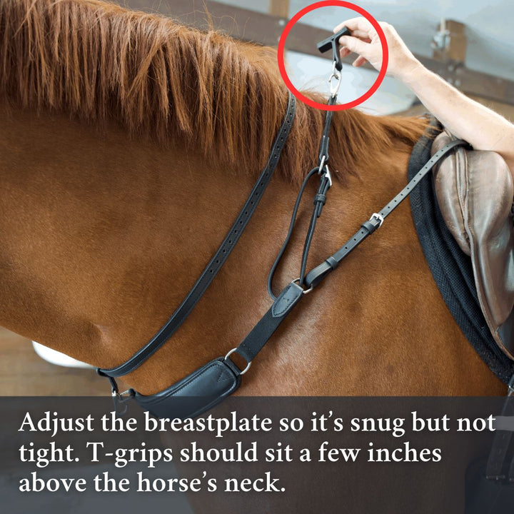 3-in-1 Training Breastplate
