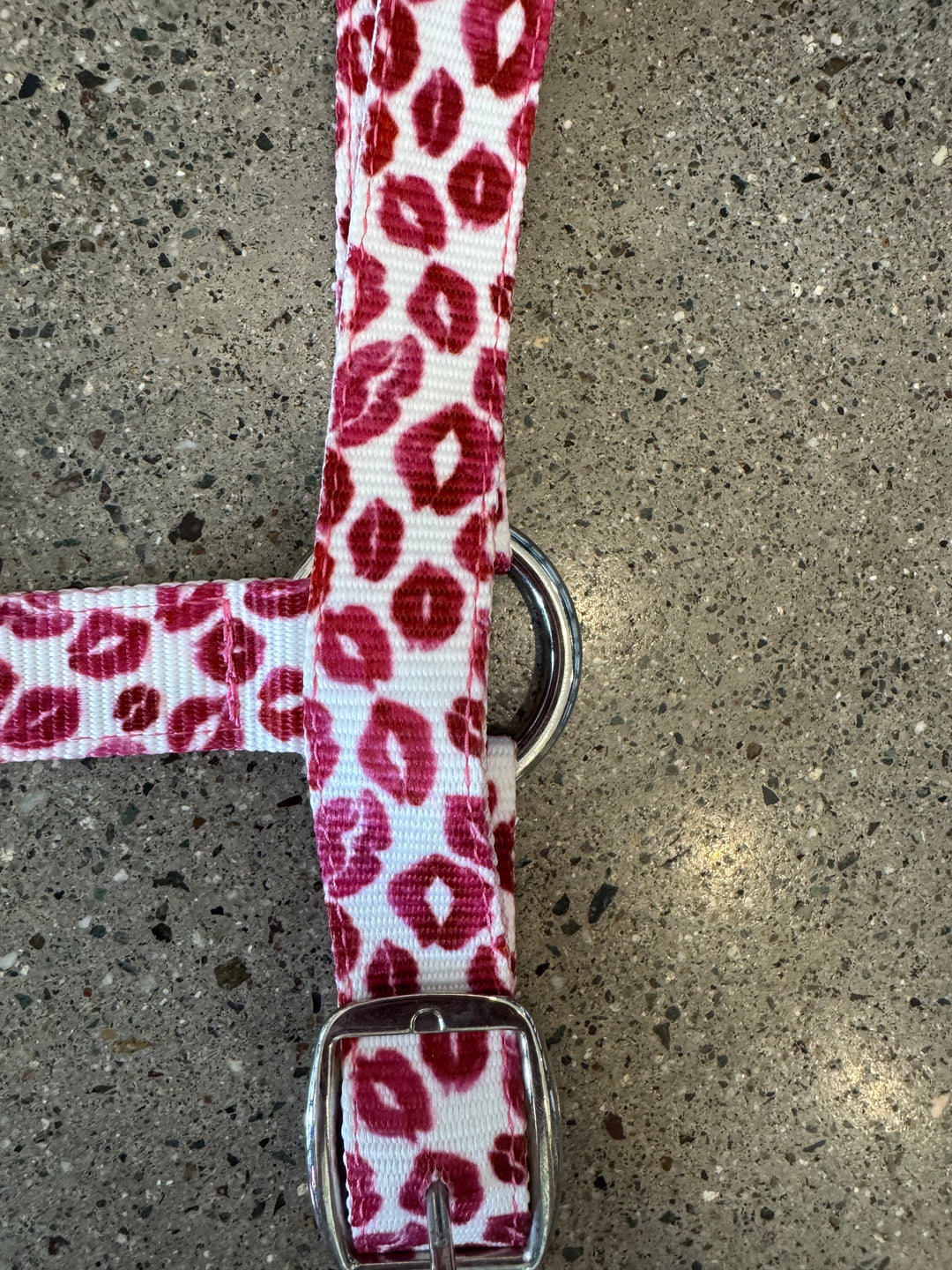 Smooch Nylon Horse Halter