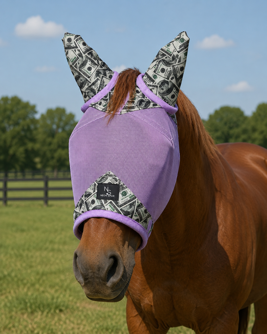 Entry Fees Fly Mask w/ Ears - Lavender Neon Spur
