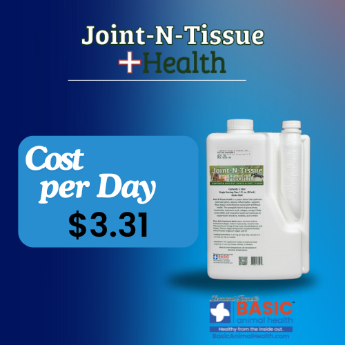 Joint-N-Tissue Health for Horses