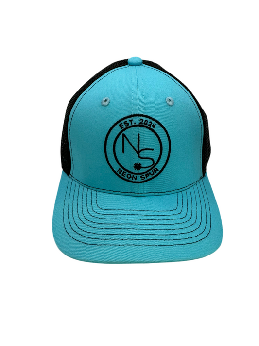 Blue Blaze Embroidered Logo Snapback Hat