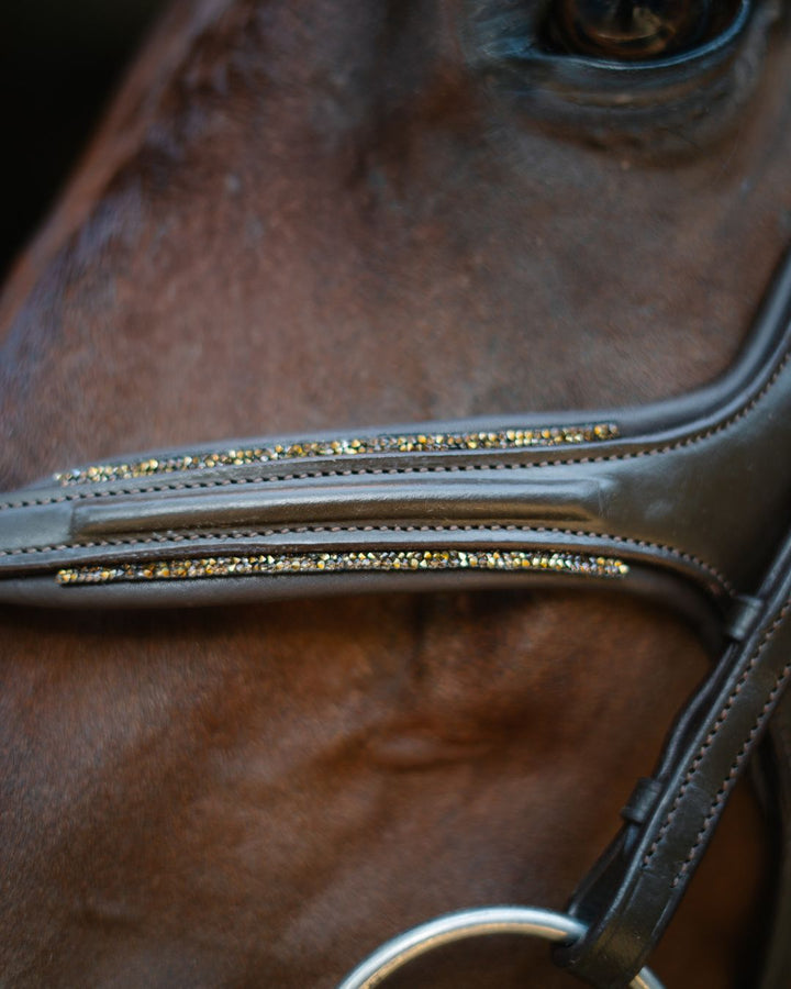 Gold Accented Figure 8 Bridle with Gold Browband CorrectConnect