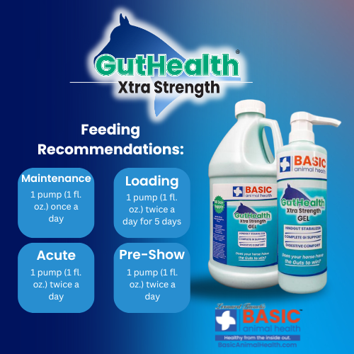 GutHealth Xtra Strength Gel for Horses - Bottles Basic Animal Health