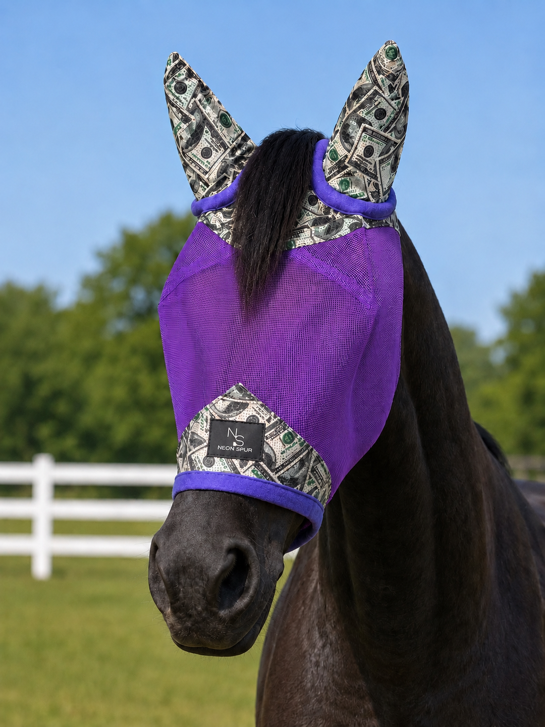 Entry Fees Fly Mask w/ Ears - Purple - Full/Std Size Neon Spur
