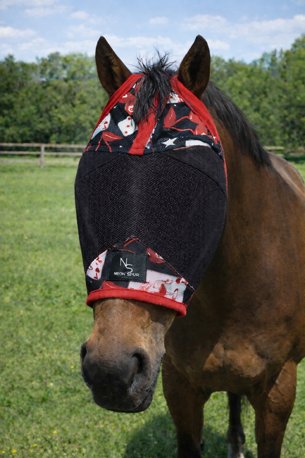 Card Room Cowgirl Horse Fly Mask  -Black