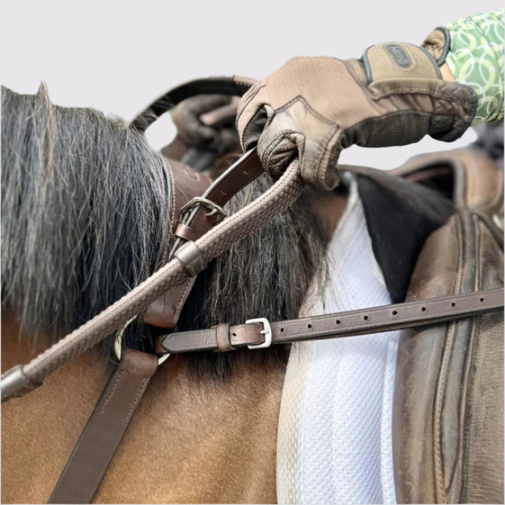 3-Point Breastplate with Double Neck Strap