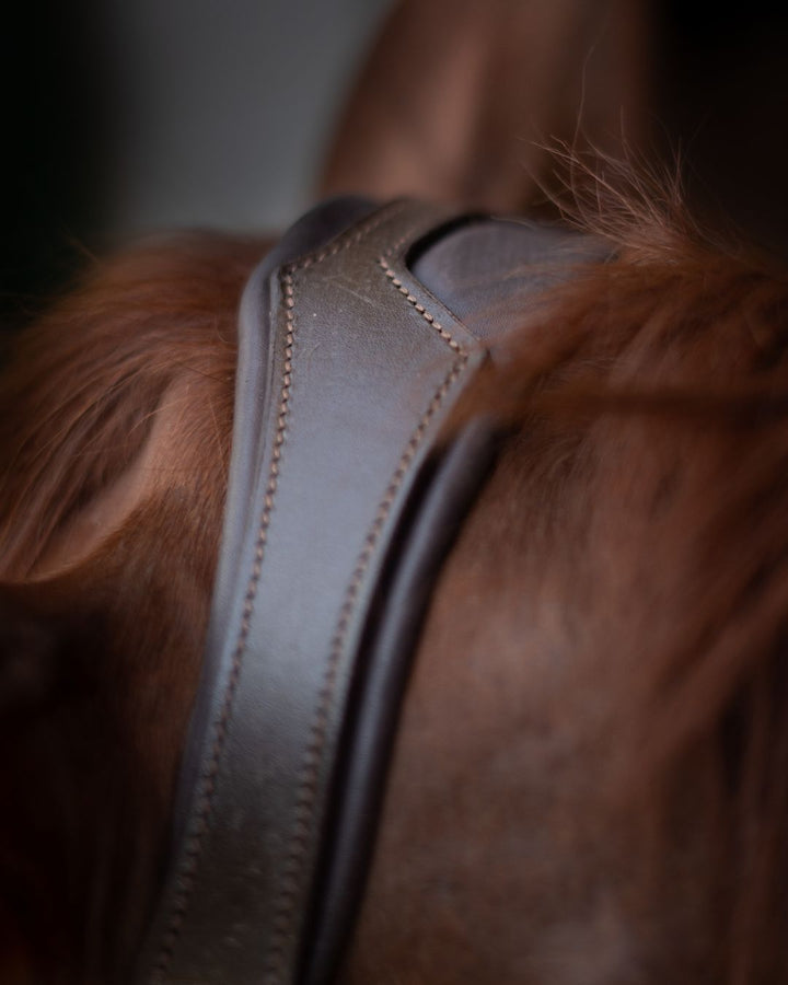 Gold Accented Figure 8 Bridle with Gold Browband CorrectConnect