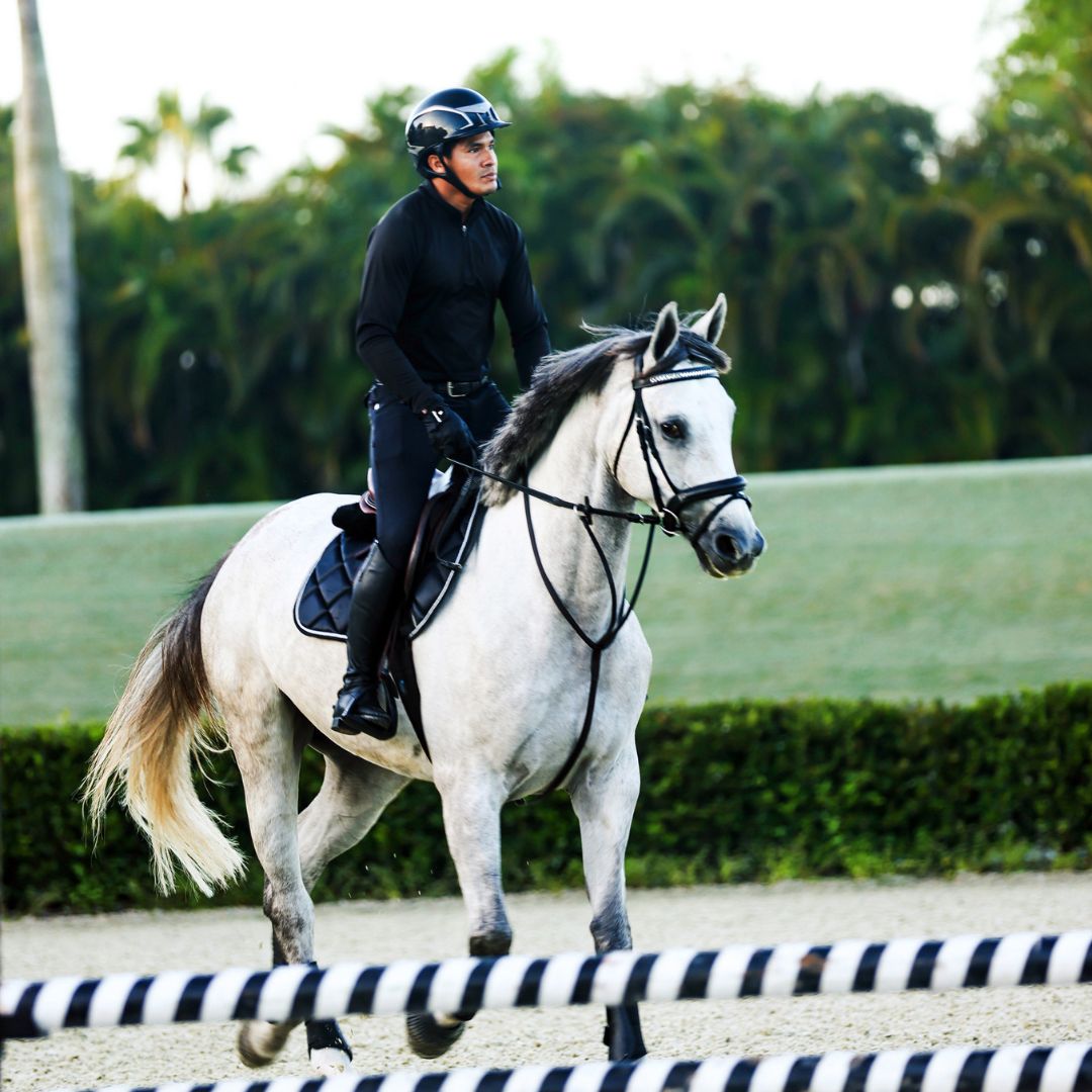 B&W - Black Saddle Pad Set