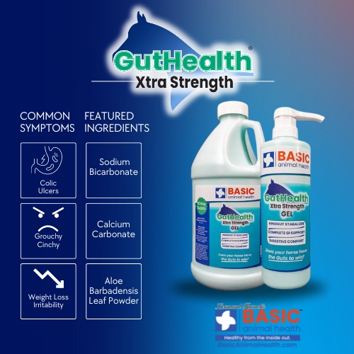 GutHealth Xtra Strength Gel for Horses - Bottles Basic Animal Health