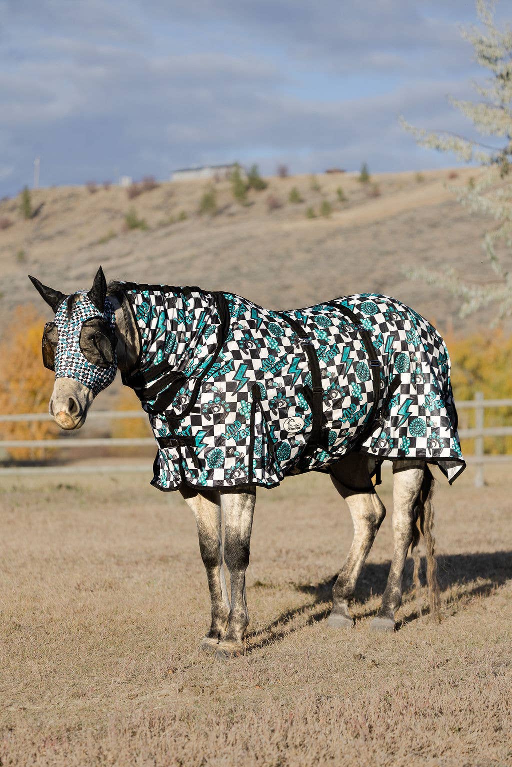 Turquoise Glass Fly Sheet