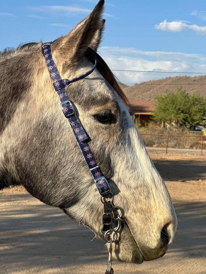 Round Up Nylon One Ear Headstall