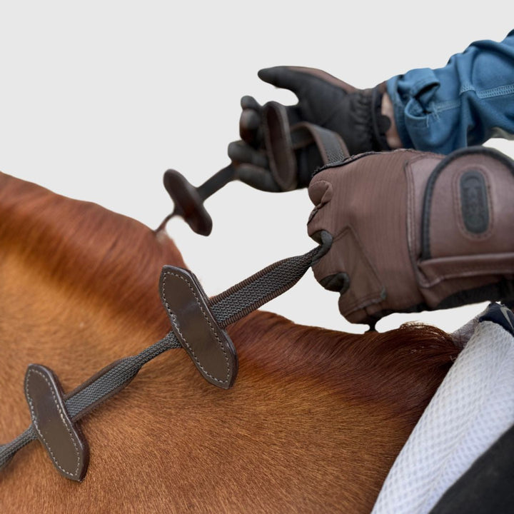 Aaron Vale Rein with 3 Slim Hand Grips CorrectConnect