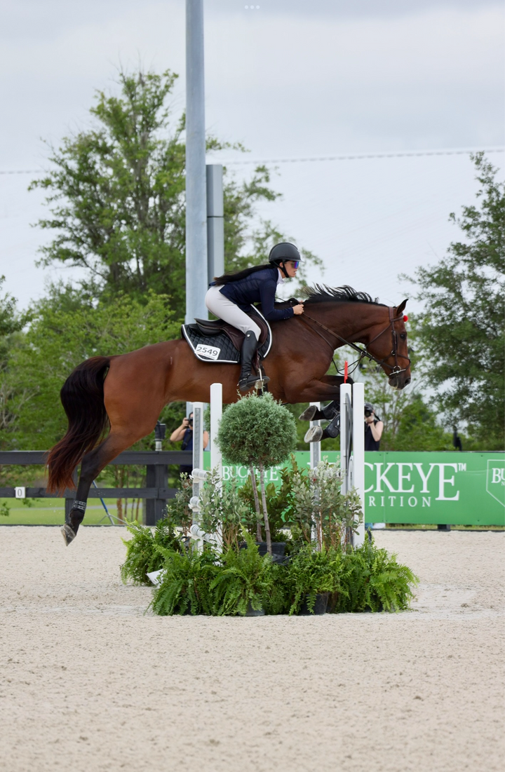 Saddle Pad | Black San Eligius