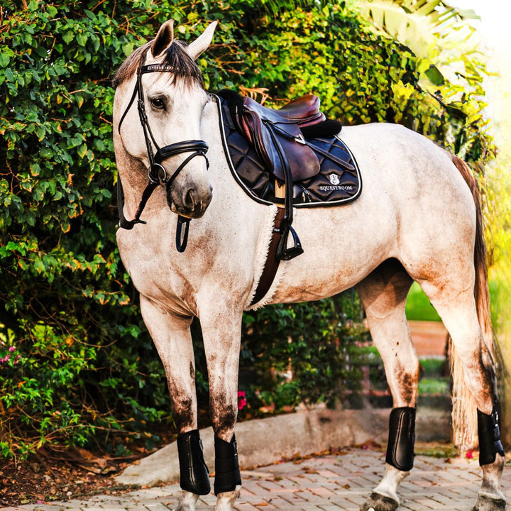 B&W - Black Saddle Pad Set