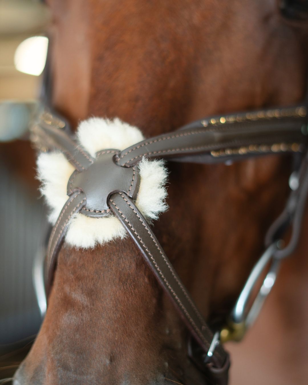 Gold Accented Figure 8 Bridle with Gold Browband CorrectConnect
