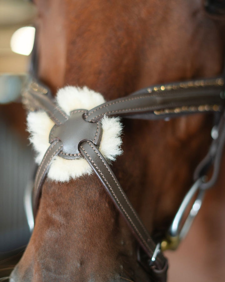Gold Accented Figure 8 Bridle with Gold Browband CorrectConnect