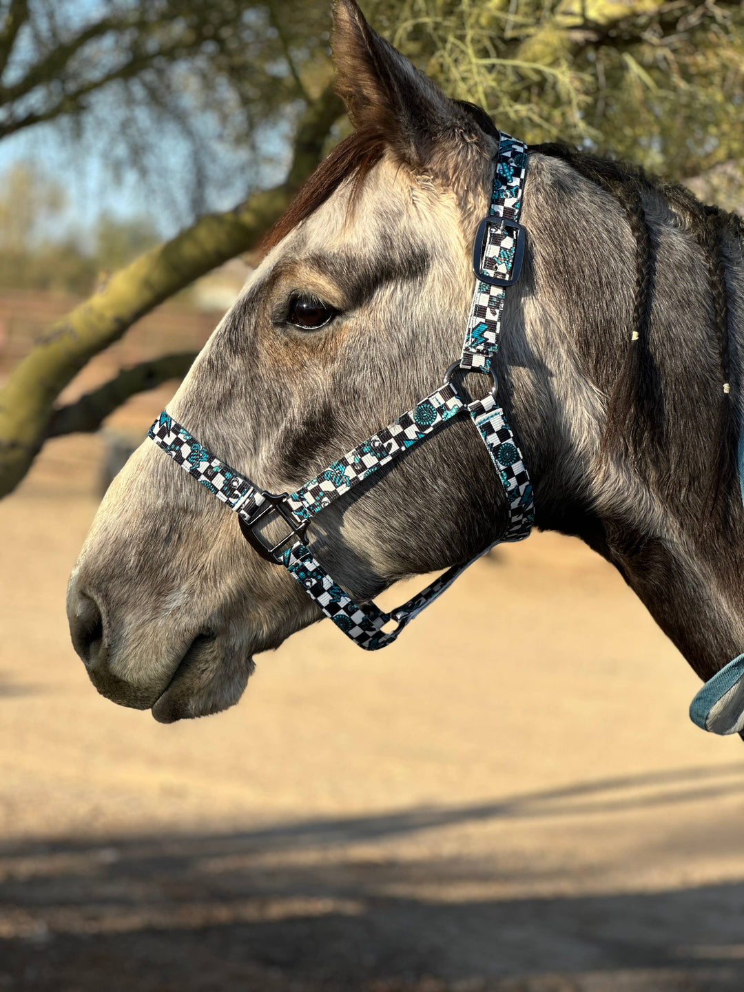 Turquoise Glass Nylon Horse Halter