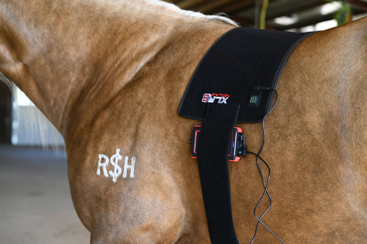 XLR8 Equine Redline VersaWrap