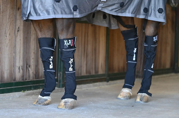 XLR8 Equine Cryo Boot : Ice Boots XLR8 Equine