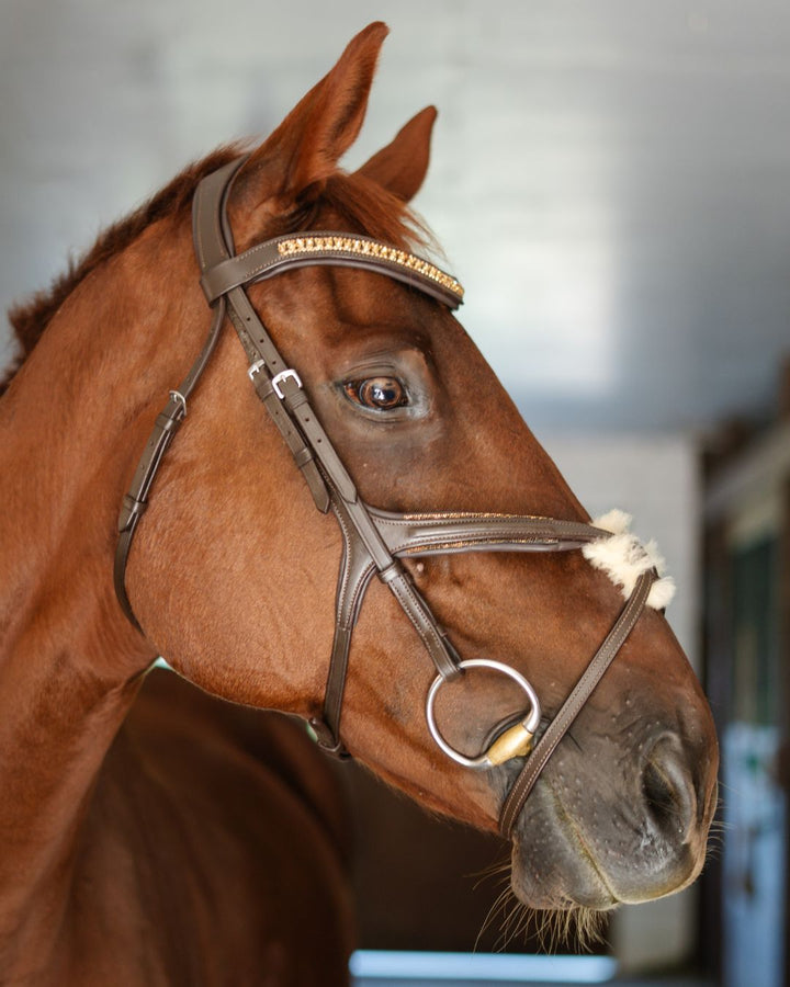 Gold Accented Figure 8 Bridle with Gold Browband CorrectConnect