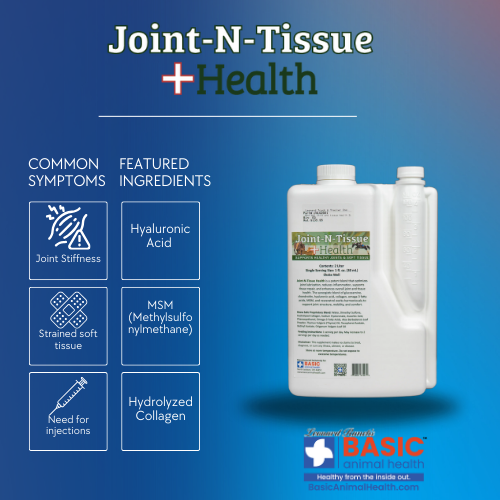 Joint-N-Tissue Health for Horses
