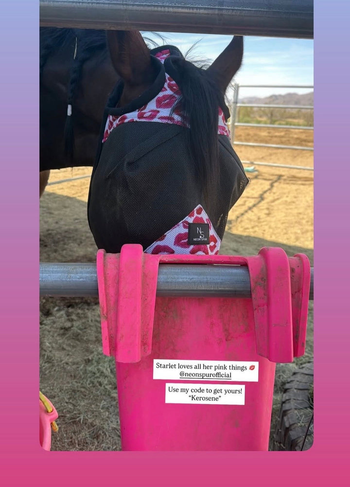 Smooch Horse Fly Mask  -Black Neon Spur