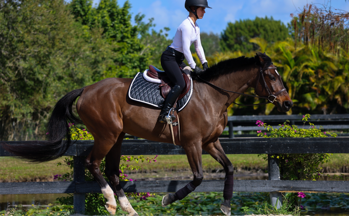 Saddle Pad | Black San Eligius