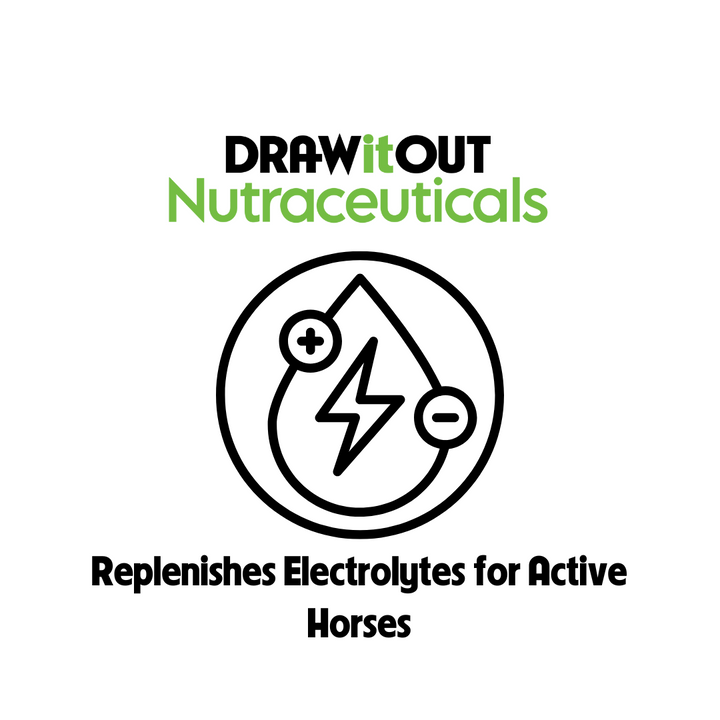 Hydro-Lyte® Electrolyte + Gut Recovery | Draw It Out®